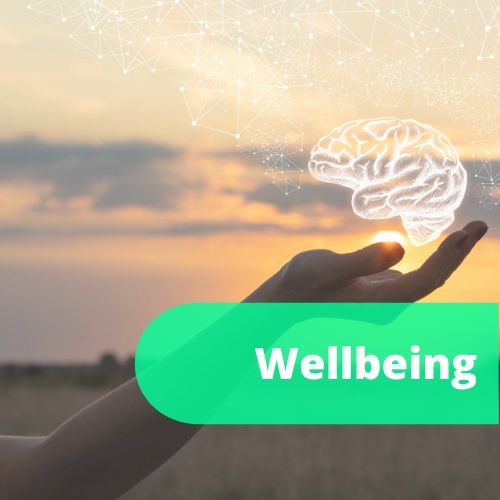 Wellbeing